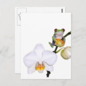 rode boomkikker op orchidee briefkaart (Voorkant / Achterkant)