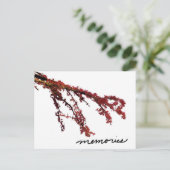 Rode boomtak met herinneringen briefkaart (Staand voorkant)