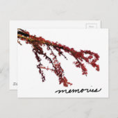 Rode boomtak met herinneringen briefkaart (Voorkant / Achterkant)