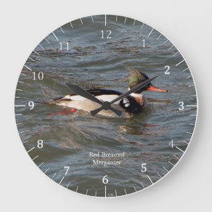 Rode Borst Merganser klok
