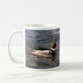 Rode borst Merganser mok (Links)