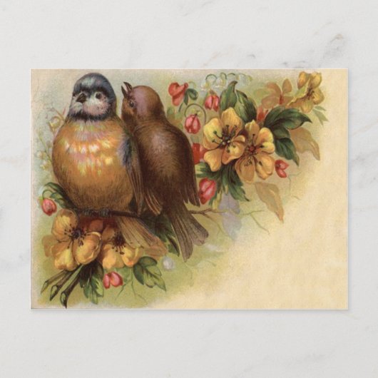 Rode Borst Vogeltje Gele Rode Bloem Briefkaart (Voorkant)