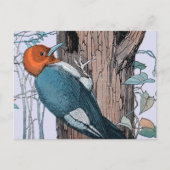 rode borstelboom briefkaart (Voorkant)