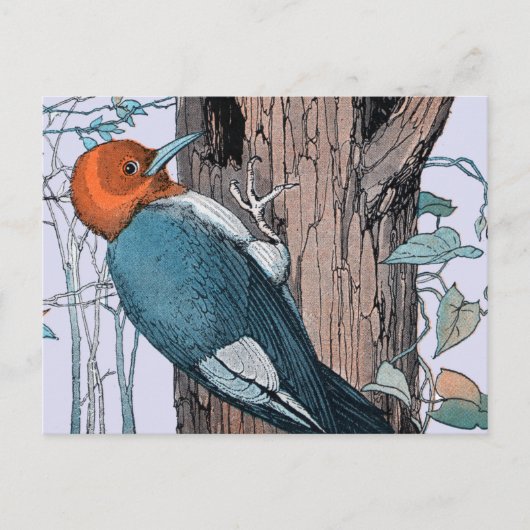  rode borstelboom briefkaart (Voorkant)