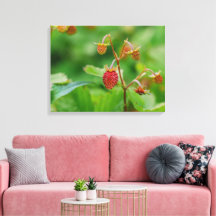 Rode Bosaardbei Groeiend In Een Tuin Foto