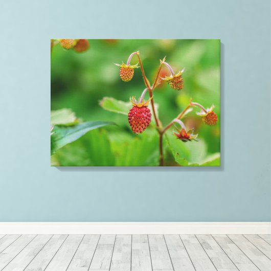 Rode bosaardbei groeit in een tuinfoto canvas afdruk (Insitu (Houten vloer))
