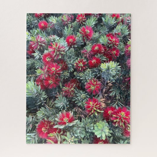 Rode Bottlebrush, Chino Hills Legpuzzel (Verticaal)