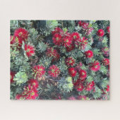 Rode Bottlebrush, Chino Hills Legpuzzel (Horizontaal)