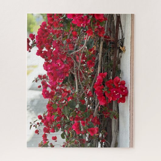 Rode Bougainvillea, Burlingame Legpuzzel (Verticaal)