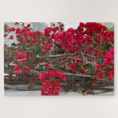 Rode Bougainvillea, Burlingame Legpuzzel (Horizontaal)