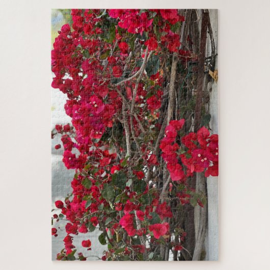 Rode Bougainvillea, Burlingame Legpuzzel (Verticaal)
