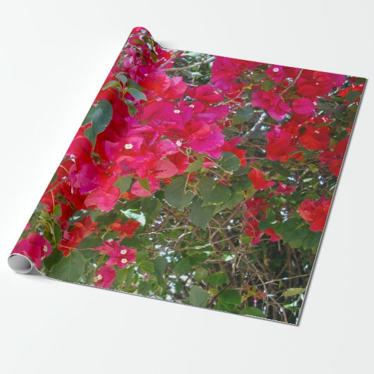 Rode Bougainvillea, Cadeaupapier (Uitgerold)