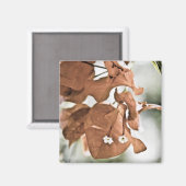 Rode Bougainvillea Magneet (Voorkant / Achterkant)