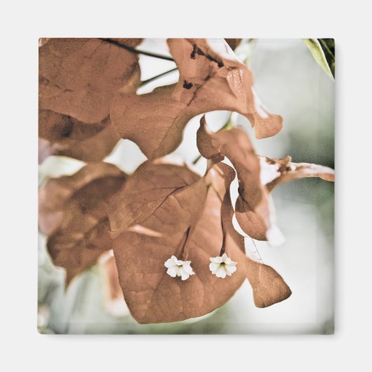 Rode Bougainvillea Magneet (Voorkant)