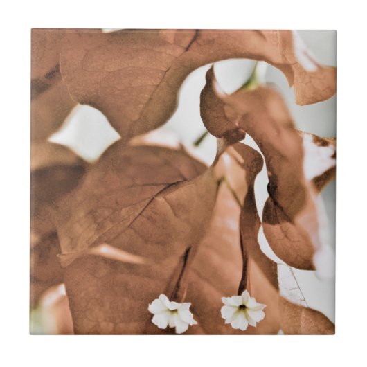 Rode Bougainvillea Tegeltje (Voorkant)