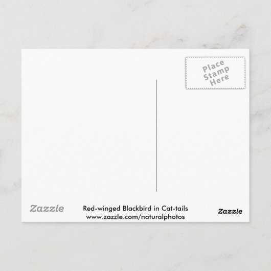 Rode bramen en kattenstaarten briefkaart (Achterkant)