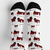 Rode  brandweerwagens, Sokken van bemanningsleden (Top)