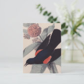 Rode brauwvogel van John James Audubon Briefkaart (Staand voorkant)