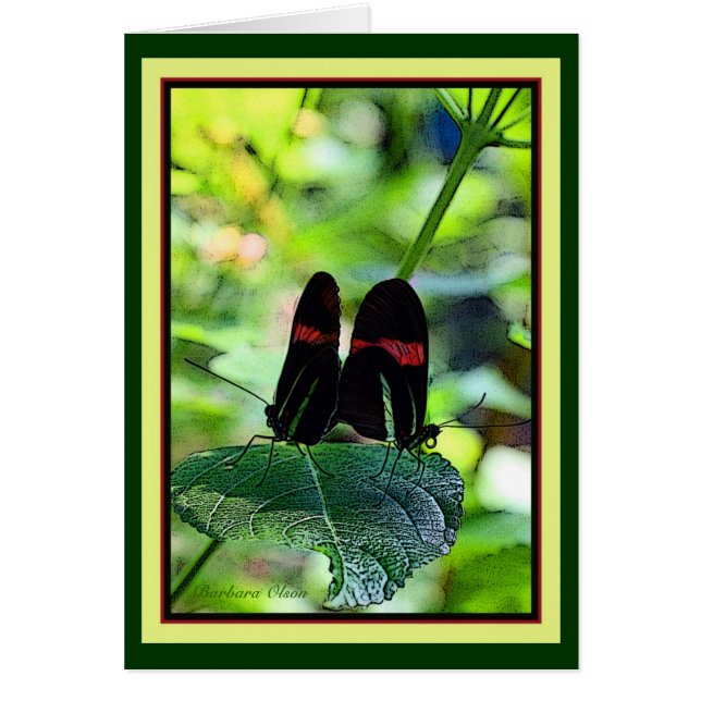 Rode Brievenbesteller: vlinder (Voorkant)