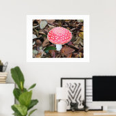 Rode broodkool, Amanita muscaria Poster (Thuiskantoor)