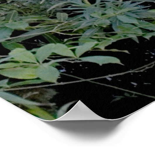 Rode brug afdrukken poster (Hoek)