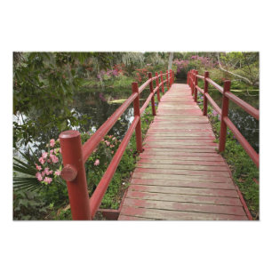 Rode brug over de vijver, Magnolia Plantation, Foto Afdruk