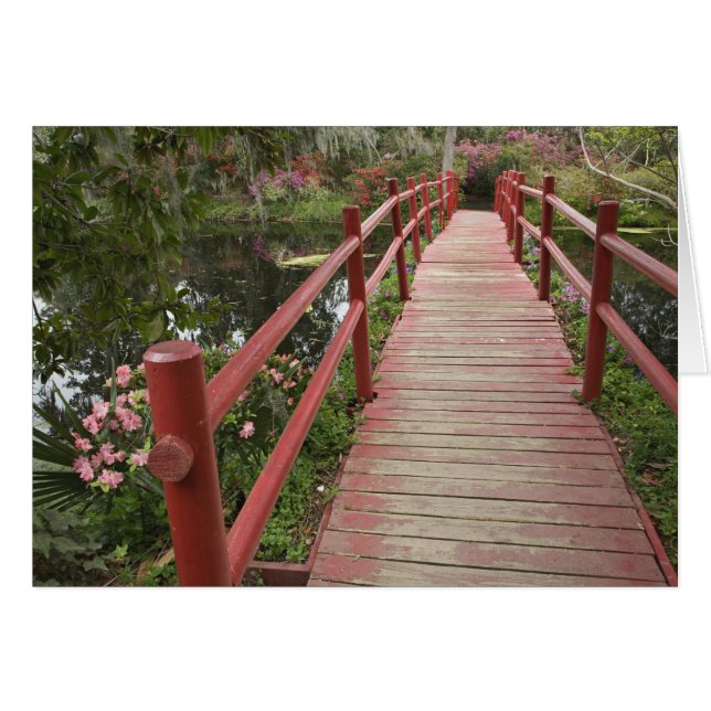 Rode brug over vijver, Magnolia Plantation, (Voorkant Horizontaal)