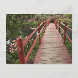 Rode brug over vijver, Magnolia Plantation, Briefkaart
