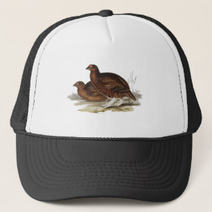 Rode bruin trucker pet