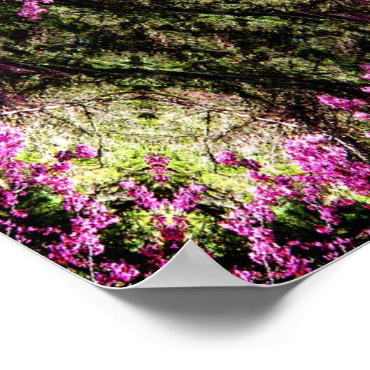 Rode Bud bomen in de bossen..... Poster (Hoek)