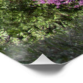 Rode Bud-boom in de lente... Perfect Poster (Hoek)