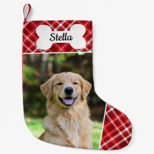 Rode Buffel Plaid Pet Hond Foto Kerstkous Kleine Kerstsok