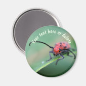 Rode Bug Met Attitude Natuur Gepersonaliseerd Magneet (Voorkant / Achterkant)