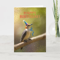 Rode Buik Specht Verjaardag Schattig