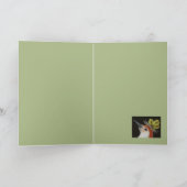 Rode buikspecht kaart (Binnen)