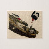  rode buikverf met buisvormige buisjes legpuzzel (Horizontaal)