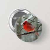 Rode Button in het wild (Male) (Voorkant /achterkant)