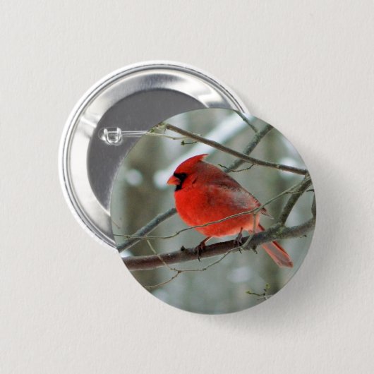 Rode Button in het wild (Male) (Voorkant /achterkant)