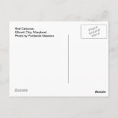 Rode Caboose.  Ellicott City, MD Briefkaart (Achterkant)