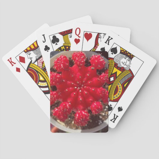 Rode Cactusbloem Top Tuin Pokerkaarten (Achterkant)