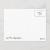 rode cakeek, vermist je! briefkaart (Achterkant)