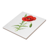 Rode Californische papaverbloem en groene bladeren Tegeltje (Zijkant)