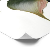 Rode Calla-lelies Lelie Bloem Kunstprint Poster (Hoek)