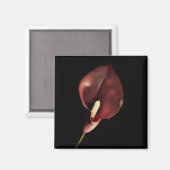 Rode Calla - Magneet (Voorkant / Achterkant)