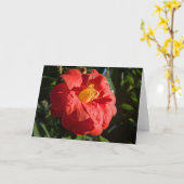 Rode Camelia. Bute Park, Cardiff, Wales Kaart (Gele Bloem)