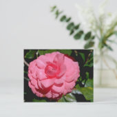Rode Camellia, japonica-bloemen Briefkaart (Staand voorkant)