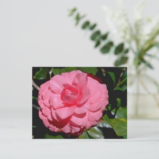 Rode Camellia, japonica-bloemen Briefkaart (Staand voorkant)