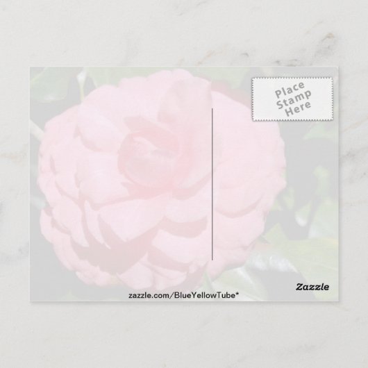 Rode Camellia, japonica-bloemen Briefkaart (Achterkant)