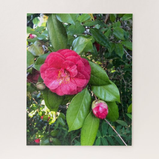 Rode Camellia, Palo Alto Legpuzzel (Verticaal)