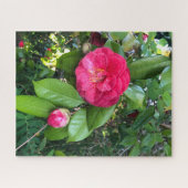 Rode Camellia, Palo Alto Legpuzzel (Horizontaal)